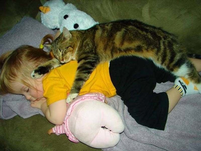cute 28 Самые мимимишные зверушки из тех, что вы видели