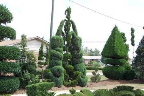 Топиари