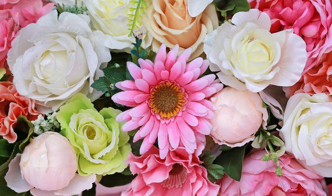 27 прекрасных цветов, которые носят имена Кейт Миддлтон, принцессы Шарлотты и других членов королевской семьи