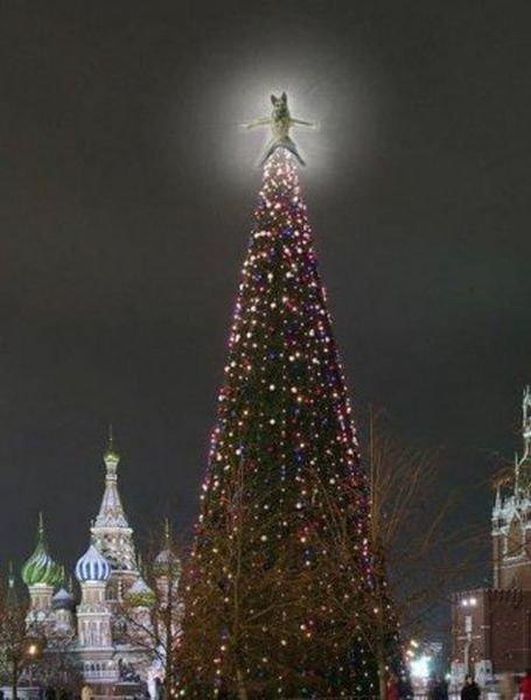 Отредактируйте мою фотку в редакторе (44 фото)