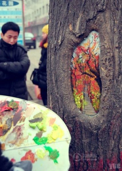 Картины на стволах деревьев от китайской студентки
