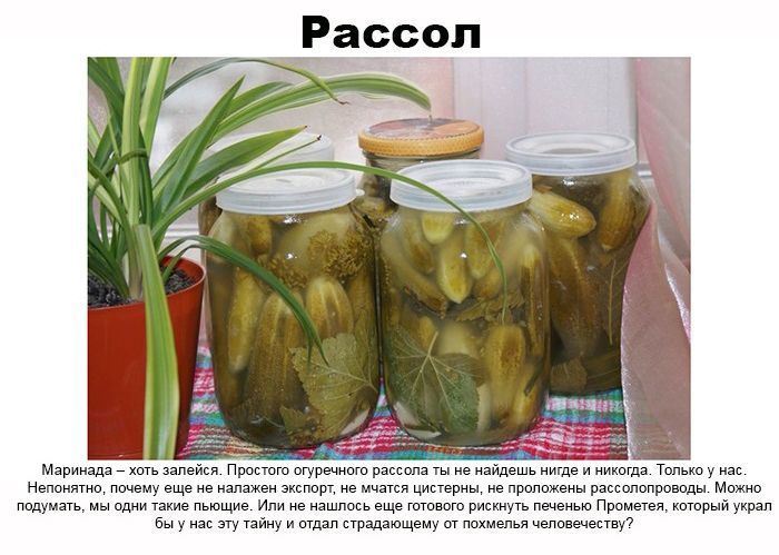 Родом из России (25 фото)
