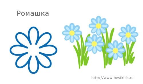 Ромашки