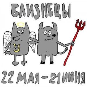 подруга близнецы