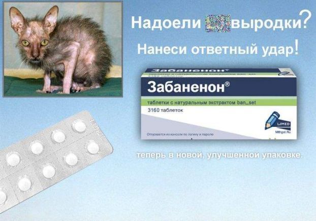 Аптечка на понедельник