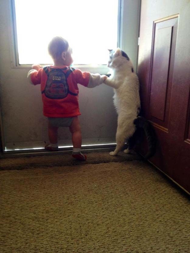 cute 10 Самые мимимишные зверушки из тех, что вы видели