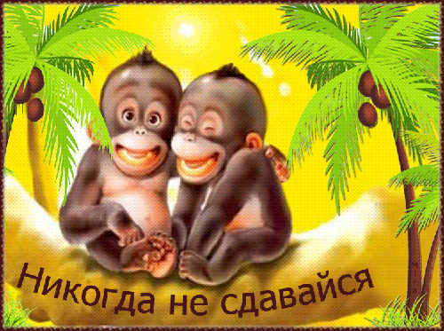 Никогда не сдавайся