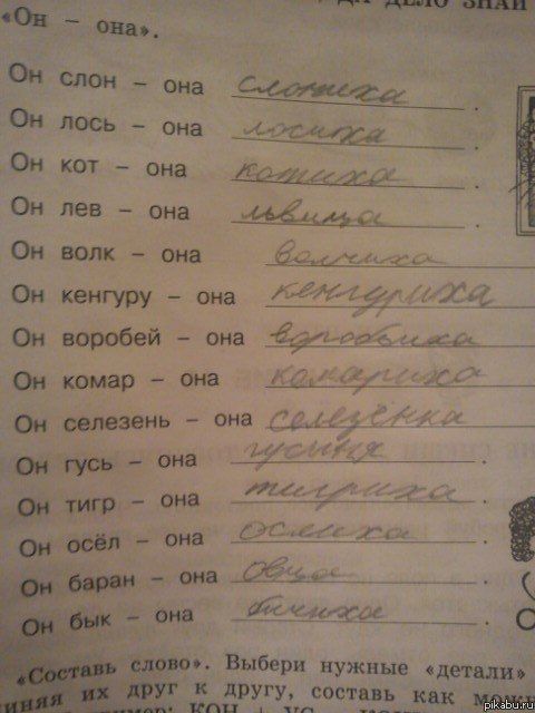 https://cs305300.userapi.com/u8647289/149637301/y_133977a5.jpg