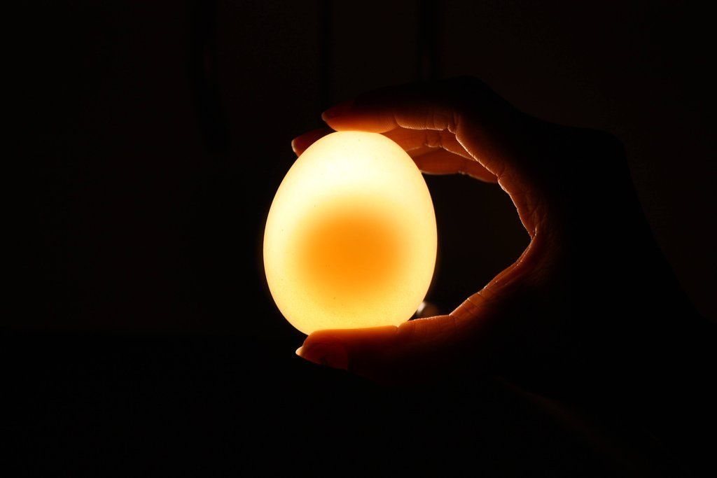 egg11 Эксперимент с яйцом и уксусом