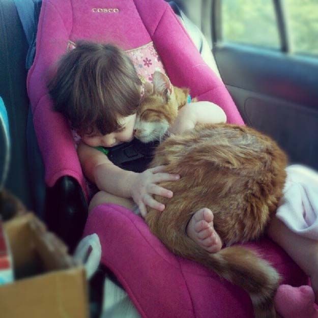 cute 88 Самые мимимишные зверушки из тех, что вы видели