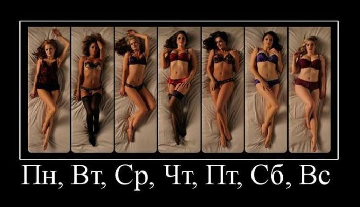 Демотиваторы (51 фото)