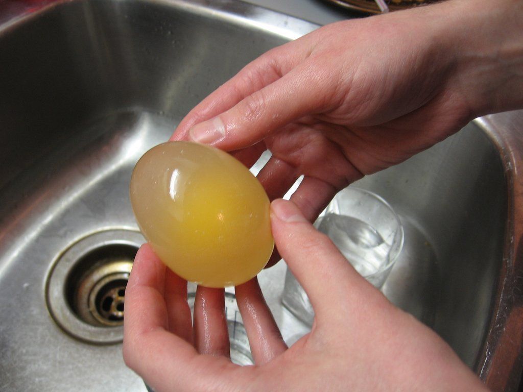 egg04 Эксперимент с яйцом и уксусом