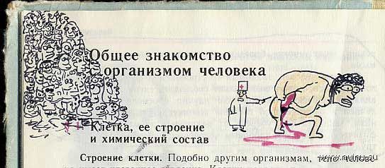Школьные извращения над учебником биологии (33 фото)