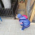 Чудесный день