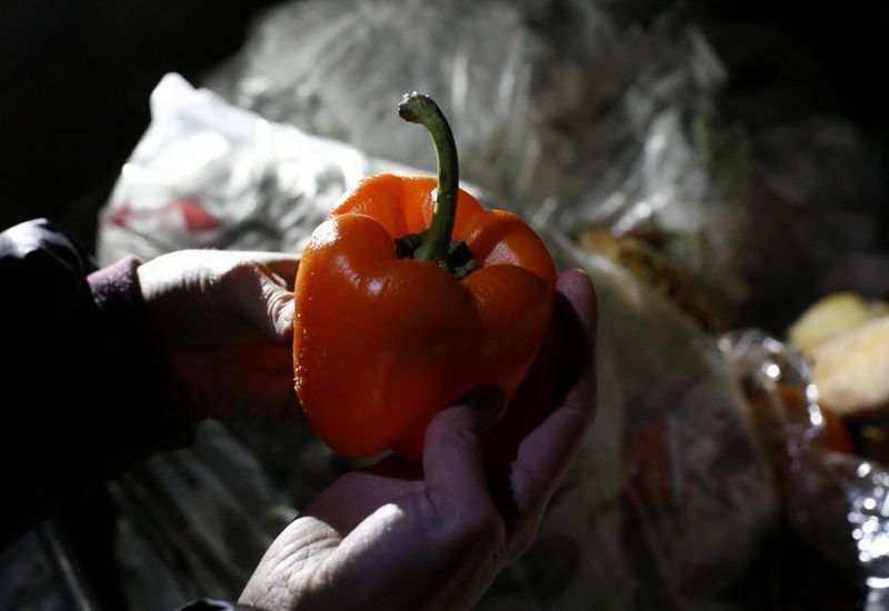 семья, контейнер, мусор, еда, продукты