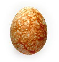 Пасхальное яйцо в крапинку