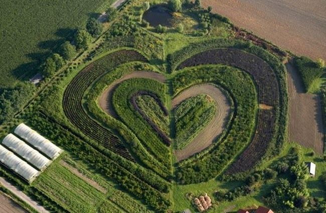 Сердца природы (16 фото)
