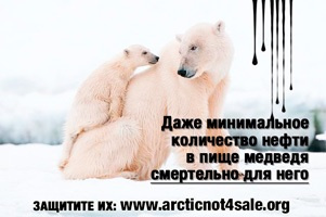 Что ищет Норвегия в российской Арктике?