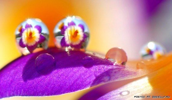 1340874358_0-19 (570x330, 38Kb)