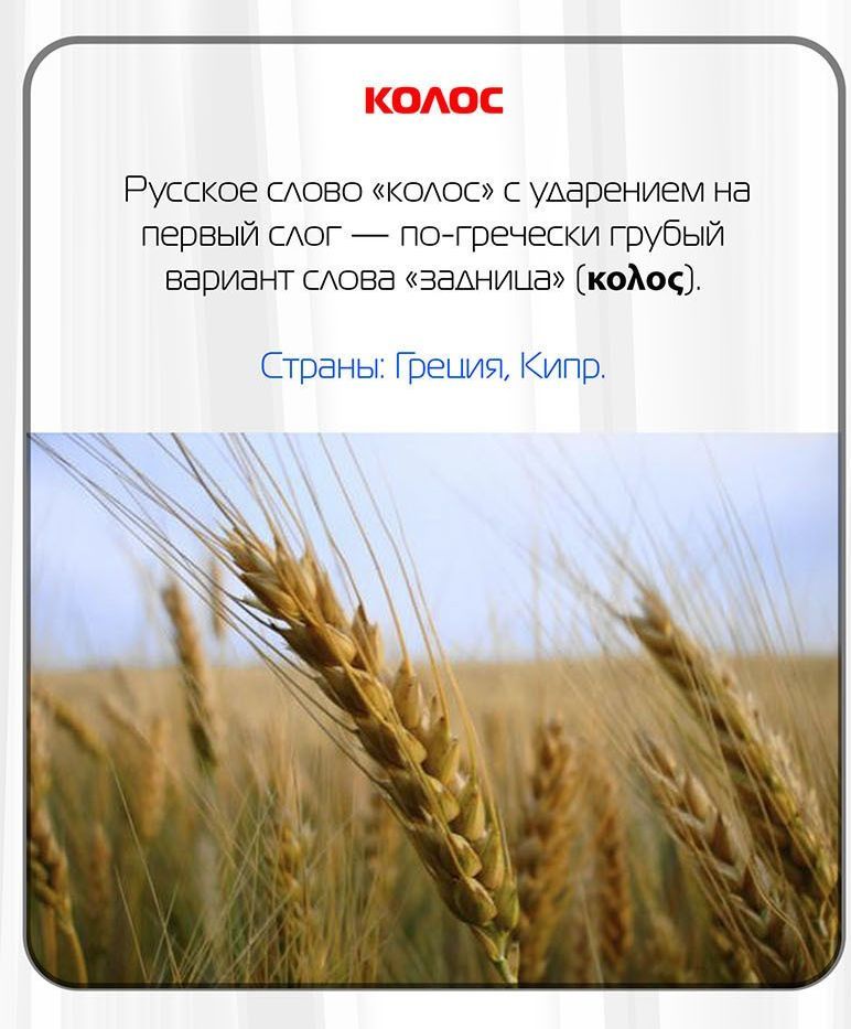 За какие русские слова иностранцы набьют вам морду
