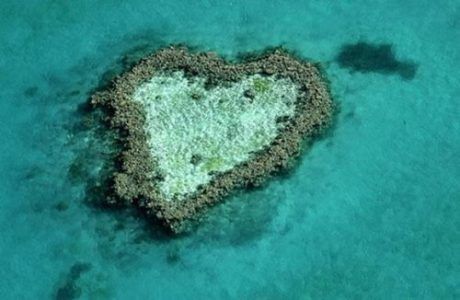 Моменты любви - фотографии природных объектов в форме сердца