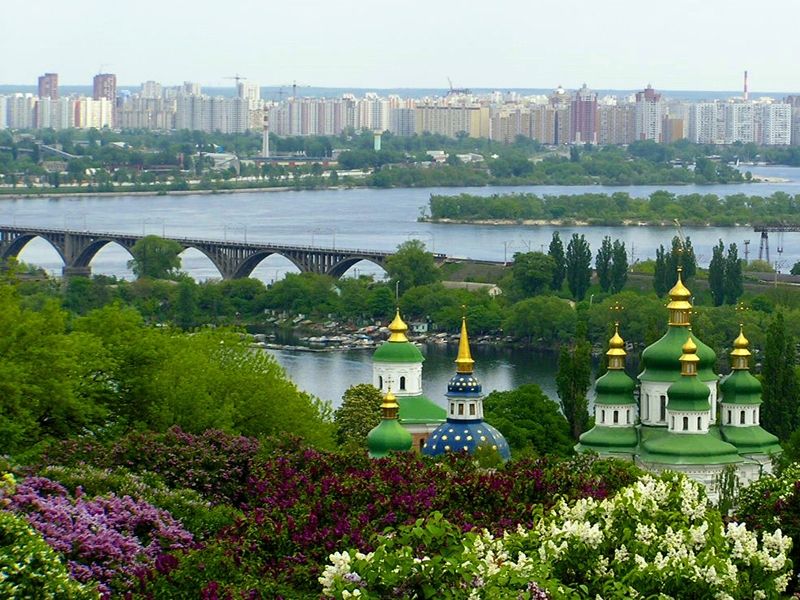 Картинка 9 из 214263