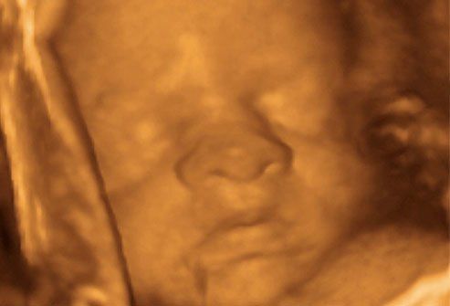 Развитие плода по месяцам : Развитие эмбриона на 36 неделе. 
 
На этом этапе вес детей отличается. Все зависит от многих факторов: пола ребенка, количества вынашиваемых детей, роста и веса родителей. В среднем рост ребенка около 32 см, а вес – около 2,5 кг. Начинает быстро развиваться мозг. Практически полностью сформированы легкие. Начиная с этого момента ребенок находится вниз головой. Беременность считается «в срок», как только прошли 37 недель. Ребенок готов родиться!