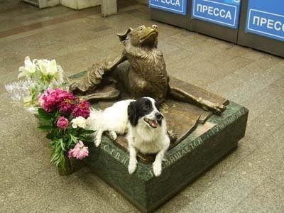 metromos Памятники собакам  верным друзьям человека