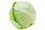 Cabbage