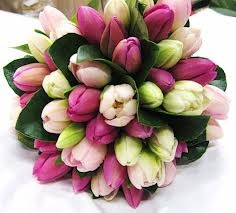 Uploaded with Imgupr