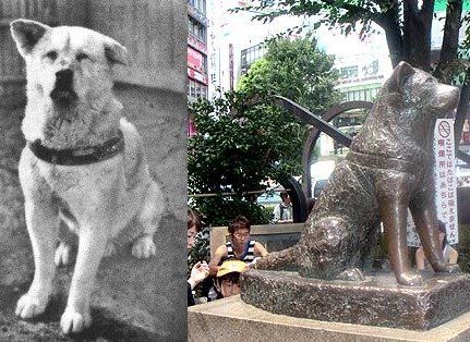 khatiko Памятники собакам  верным друзьям человека