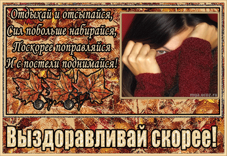 выздоравливай 13