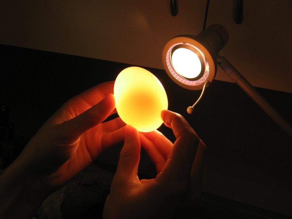 egg07 Эксперимент с яйцом и уксусом