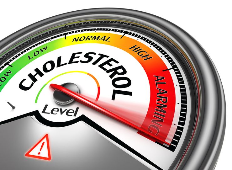 Диета при повышенном холестерине