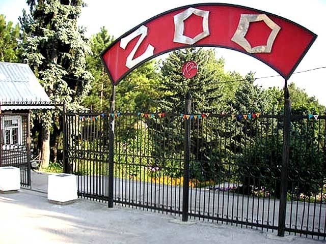 В Волгограде лечить детей-инвалидов будут помогать страусы