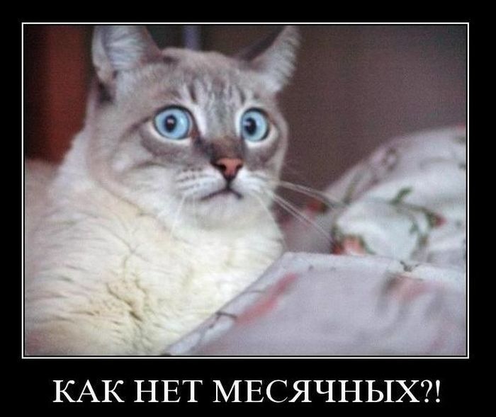 Демотиваторы (57 фото)