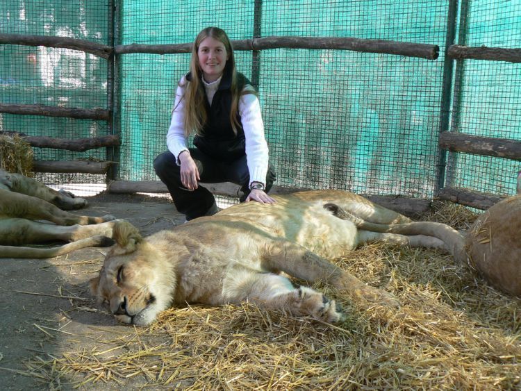 Экстремальный зоопарк в Лухане, Аргентина Экстремальный зоопарк в Лухане, Аргентина
