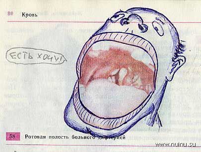Школьные извращения над учебником биологии (33 фото)
