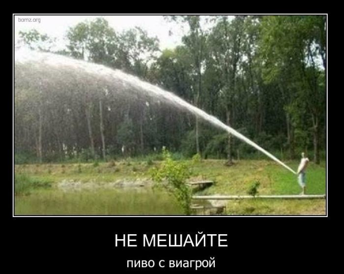 Демотиваторы (50 фото)