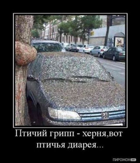 Демотиваторы вторника =)