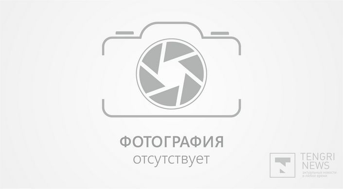 Слоны и кенгуру &quot;прогуляются&quot; по улицам Алматы