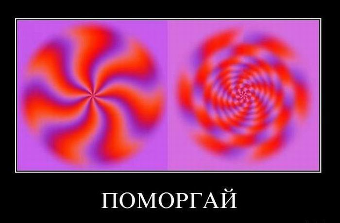 Демотиваторы (48 фото)