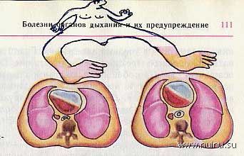 Школьные извращения над учебником биологии (33 фото)