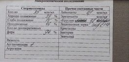 не взяли в протокол эко, очень плохое узи яичников не взяли в протокол эко, очень плохое узи яичников