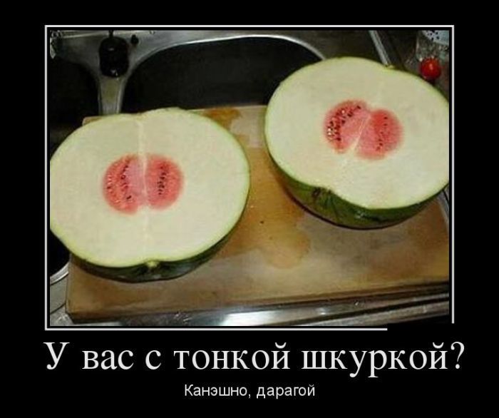 Демотиваторы (30 фото)