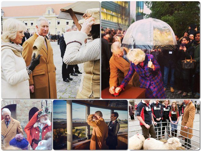   Instagram  @clarencehouse