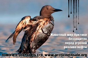 Что ищет Норвегия в российской Арктике?
