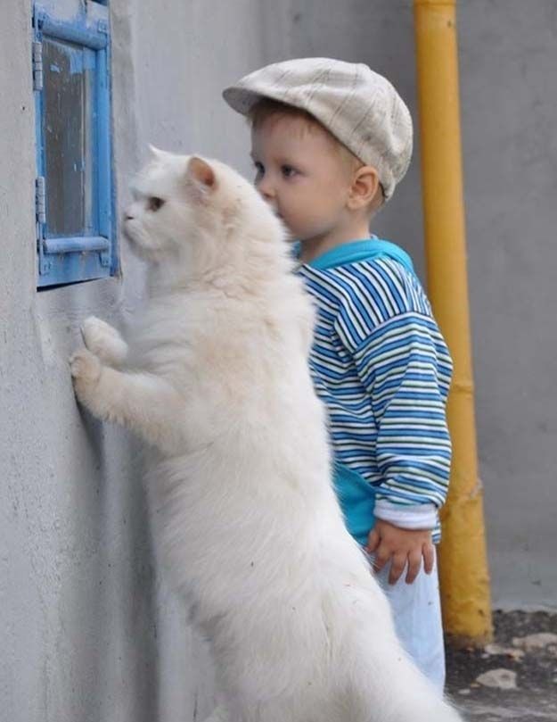 cute 8 Самые мимимишные зверушки из тех, что вы видели