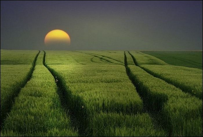 (700x474, 82Kb)