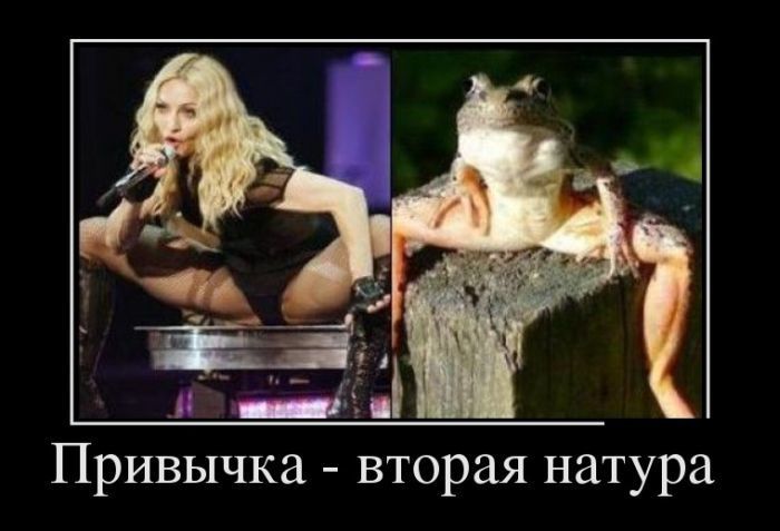 Демотиваторы